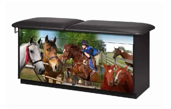 Clinton Adventure Series – Equestrian Treatment Table | 7947