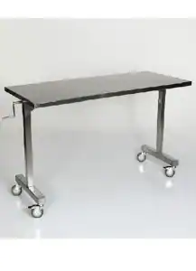 MCM SS Height Adj. Instrument Table, 48 x 24 | MCM 532
